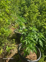 IMG-20250627-WA0001.webp