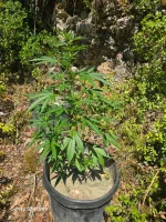 IMG-20250627-WA0002.webp